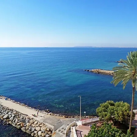 Mediterranean Stare *